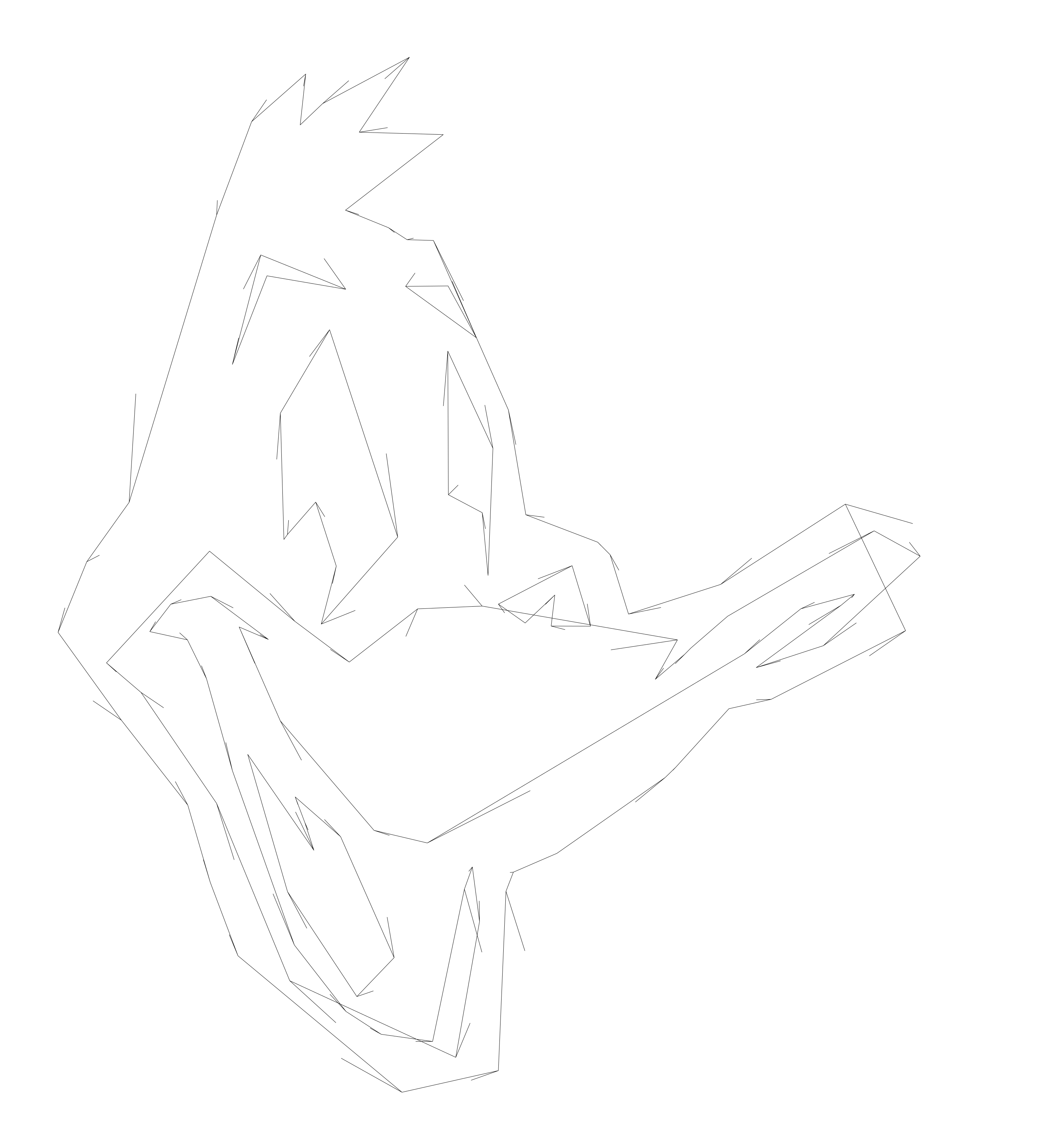 Cartoon/Daffy Duck.png